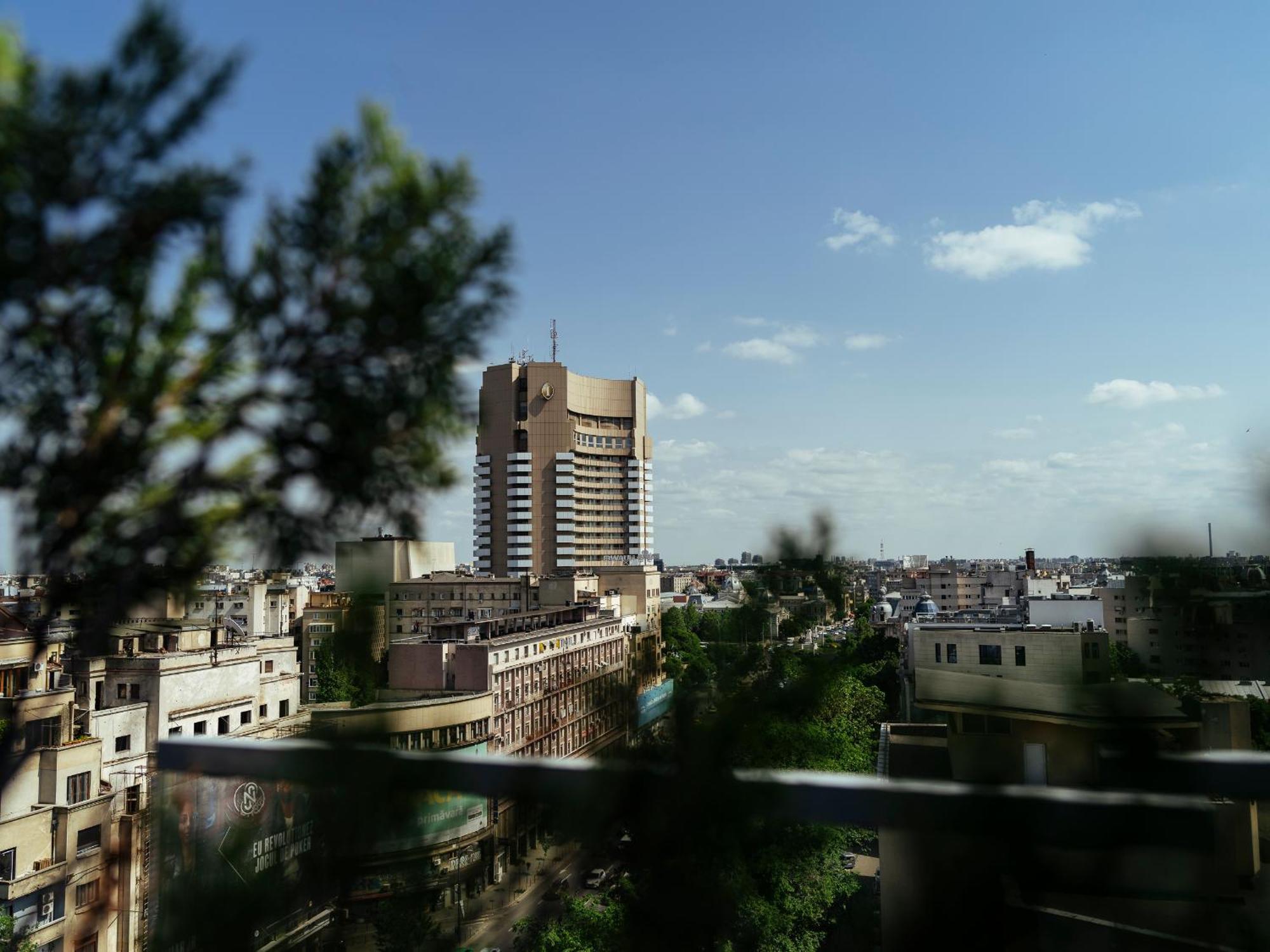 Wilson Old Roof Apartment Bucharest